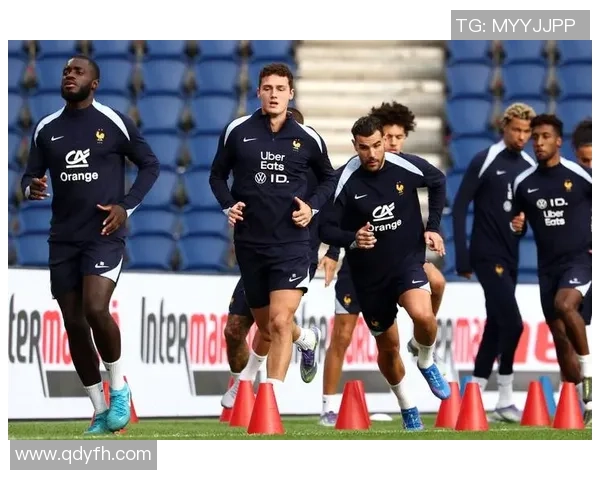 法国足球明星汇总及其辉煌成就与影响力分析 法国足球明星汇总及其辉煌成就与影响力分析