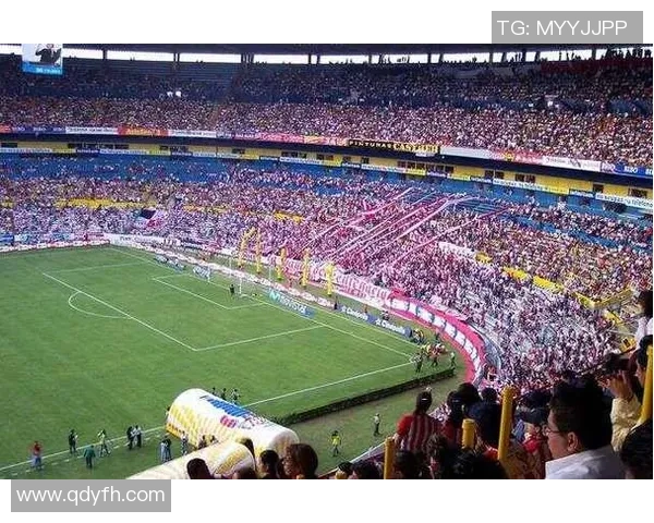 足球明星斯恩卡的传奇旅程与辉煌成就全景回顾 足球明星斯恩卡的传奇旅程与辉煌成就全景回顾