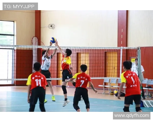 重庆排球队在杯赛中的速度优势与战术分析 重庆排球队在杯赛中的速度优势与战术分析