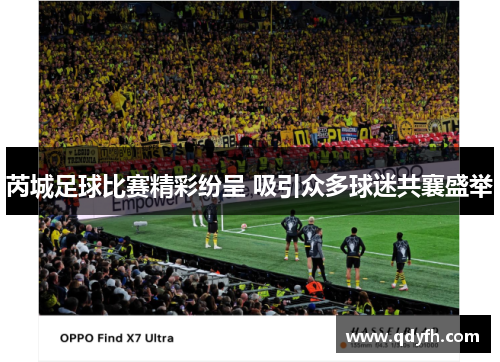 芮城足球比赛精彩纷呈 吸引众多球迷共襄盛举